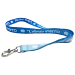 Lanyard